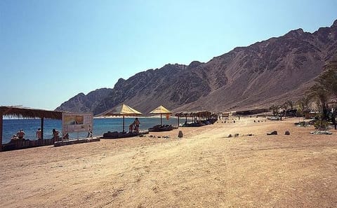 Dahab Day Tour: Snorkeling, ATV Biking, and City Exploration