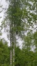 Bird watching, Nature & Wildlife 9
