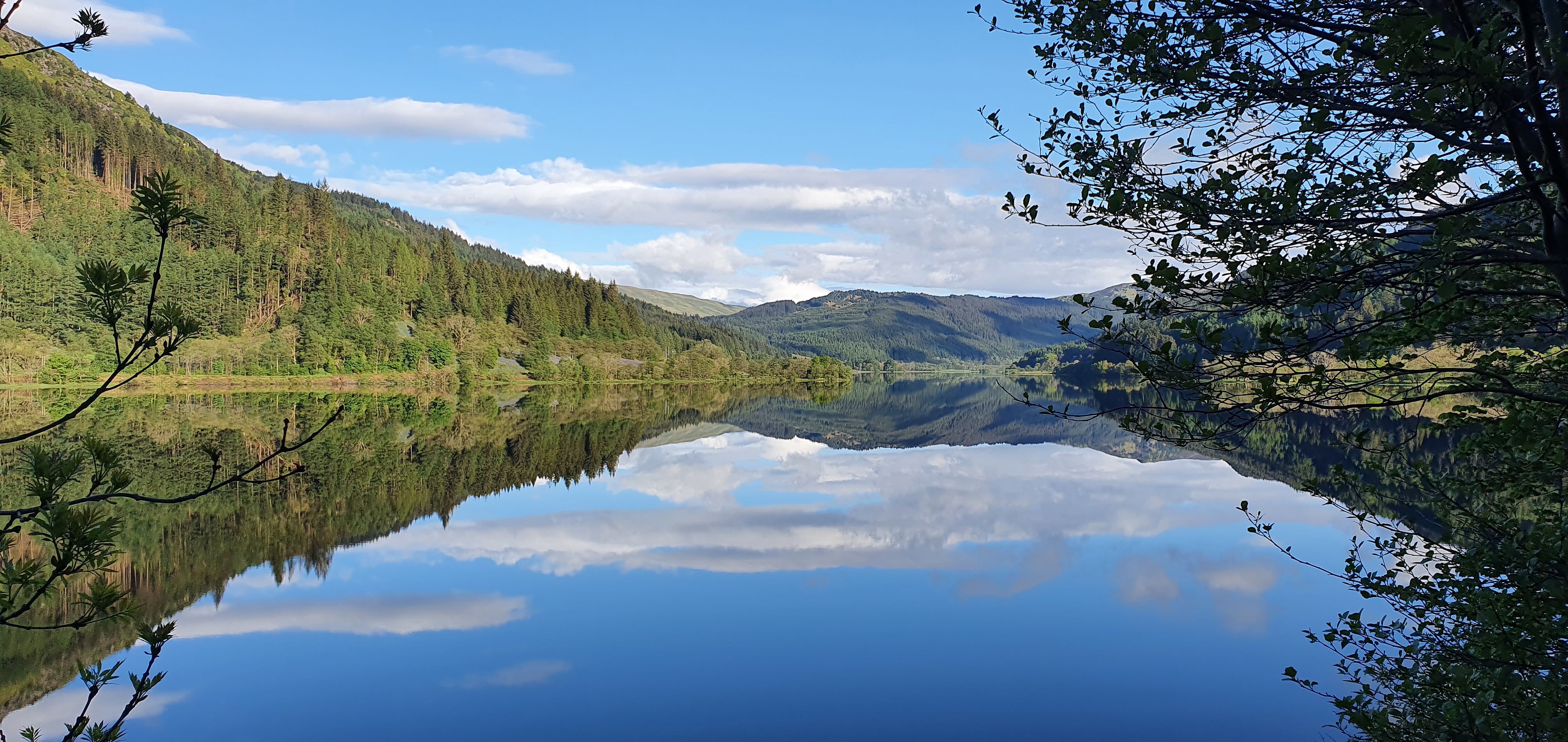 A Scottish Loch on a Summer morning. The water is very still. It reflects the pillow clouds, hills, and treelined bank in perfect symmetry.