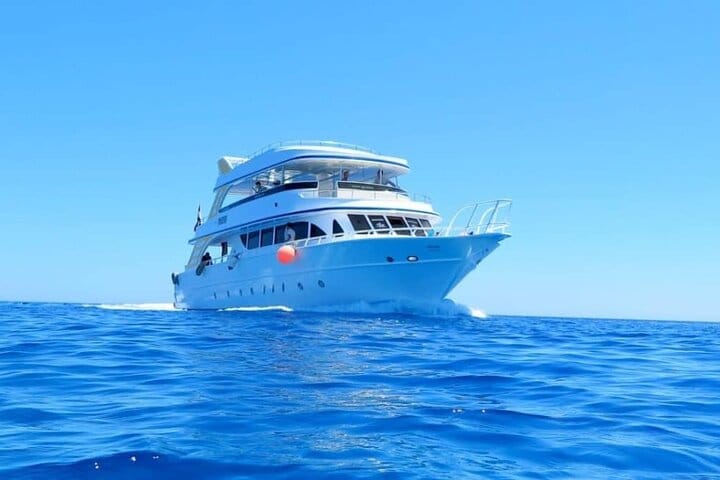 Dolphin House Snorkeling Cruise in Hurghada with Lunch