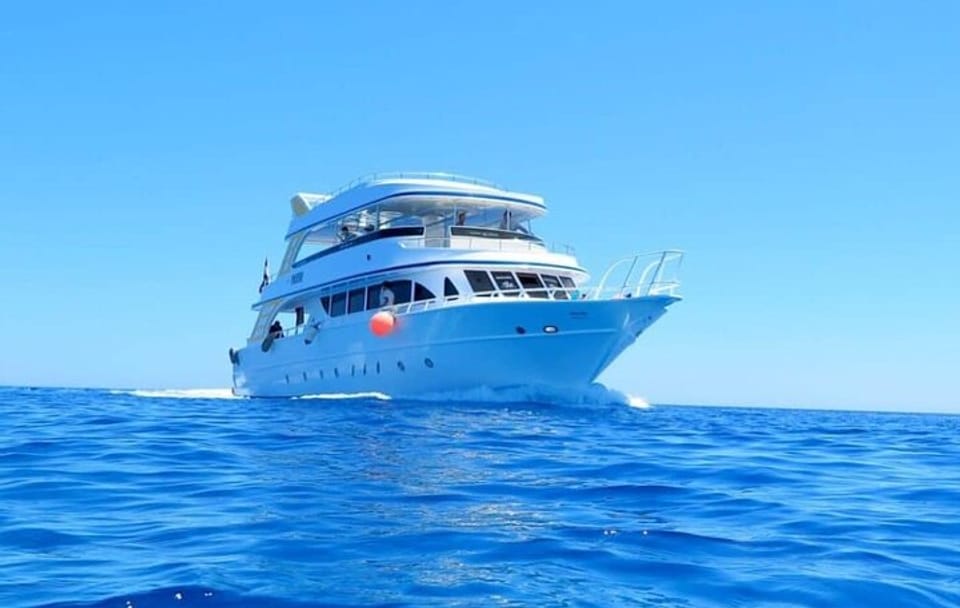 Dolphin House Snorkeling Cruise in Hurghada with Lunch