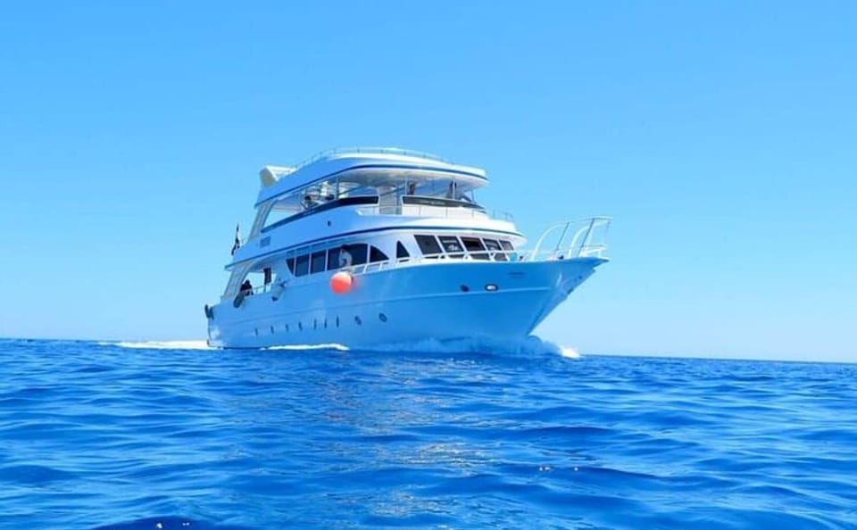 Dolphin Watching and Snorkeling Cruise in Hurghada