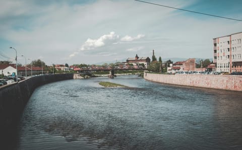 Private Guided Walking Tour of Niš, Serbia's History and Culture