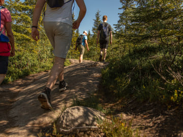 Private Nature Tour of Oslo's Scenic Great Lakes