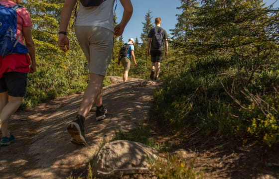 Private Great lake tour