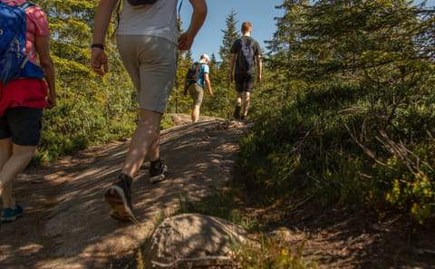 Private Nature Tour of Oslo's Scenic Great Lakes