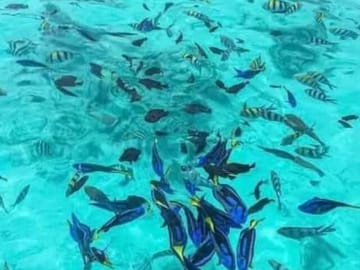 Jozani Forest and Kuza Cave Tour in Zanzibar's Nature Spots