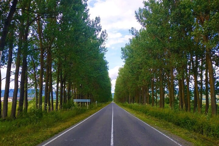 The road from Sabaduri Forest to Tianeti