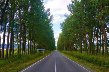 Explore Gudauri: Easy Tour from Tbilisi