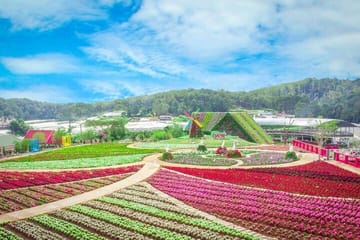 Da Lat : Explore Elephant Falls,Silk Village and Countryside