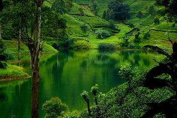 Hills & Safari Ceylon