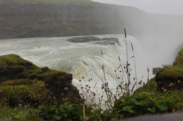 Golden Circle and Fridheimar Greenhouse (lunch included) - PRIVATE TOUR 5