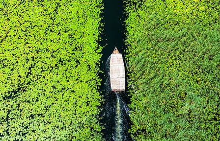 Private Skadar Lake National Park Tour with Wooden Boat and Wine