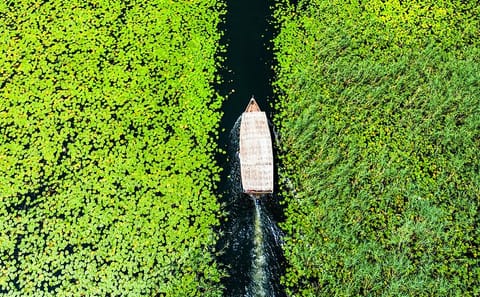 Private Wooden Boat Tour and Birdwatching at Skadar Lake