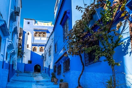 Chefchaouen Full-Day Small Group Tour from Casablanca