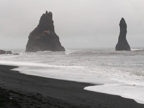 The South Coast by Minibus, photo 3