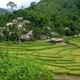 Pu Luong 2 Days 1 Night Tour from Hanoi