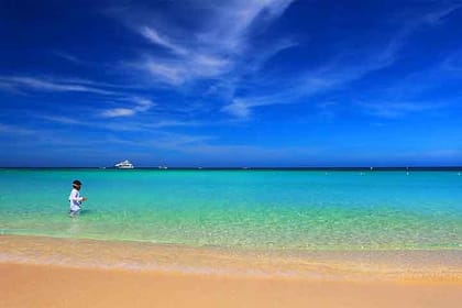 Cruise Ship Family Chocolate Factory, Sloths & Monkeys, Beach