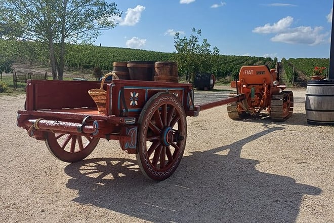 Tuscan Grape Stomping and Wine Tasting Adventure in Chianti - Photo 3