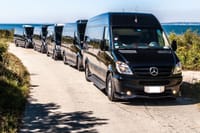 PRIVATE TRANFERS IN MIAMI - AIRPORT - CRUISEPORT & HOTELS   1