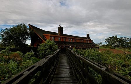 Day Safari Adventure in Aberdare National Park from Nairobi