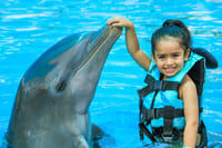 Encuentro con Delfines + Parque Acuático en Puerto Vallarta 6