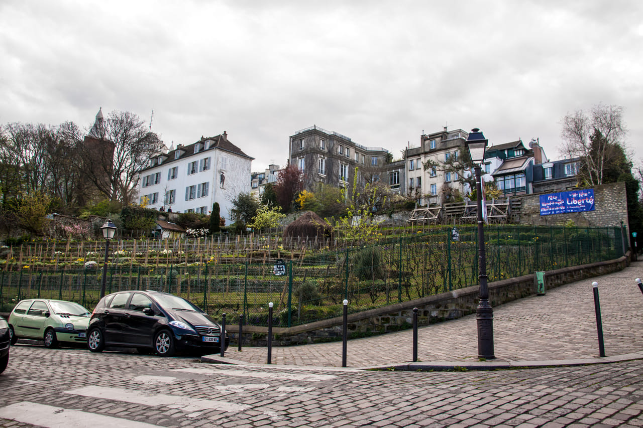 Montmartre Local Gastronomy Tour 2