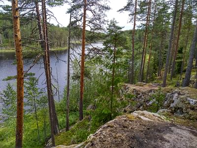 Nature safari Finland Oy Kohtaa villi luonto Isojärven kansallispuistossa Jyväskylä