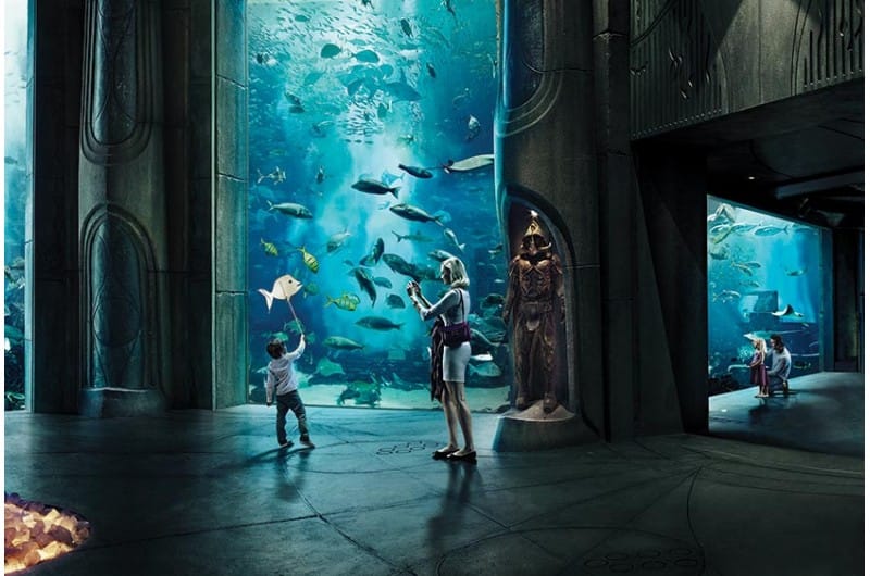 Dubai Atlantis Aquaventure Water Park with Lost Chambers Tickets 8