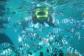 Half-Day Water Sports Adventure on Serangan Island