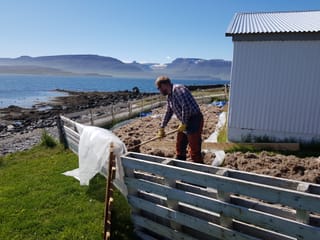 A man spreading eiderdown within a fenced area outside a barn on a sunny day, with mountain scenery in the background