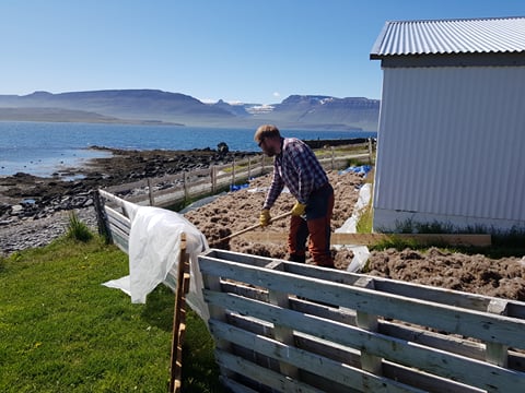A man spreading eiderdown within a fenced area outside a barn on a sunny day, with mountain scenery in the background