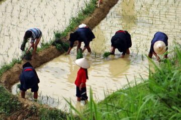 6-day Trekking in Ha Giang – Hoang Su Phi