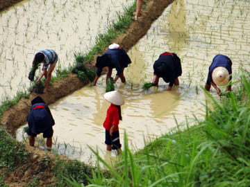 6-Day Trekking Adventure in Ha Giang, Vietnam