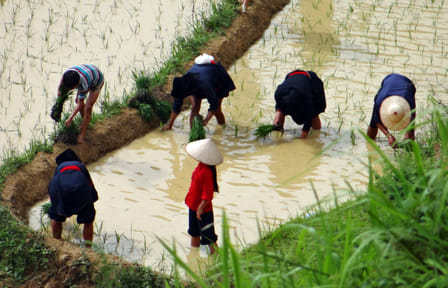 6-Day Trekking Adventure in Ha Giang, Vietnam