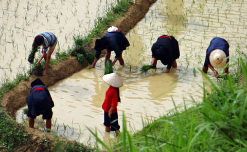 6-Day Trekking Adventure in Ha Giang, Vietnam