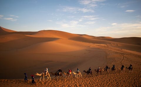 Overnight Desert Camp and ATV Tour in Merzouga from Errachidia