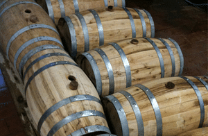 Boutique Winery Visit & Wine Tasting near Arezzo