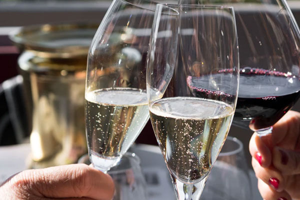 Guests toasting in the vineyards of Constantia Winelands.