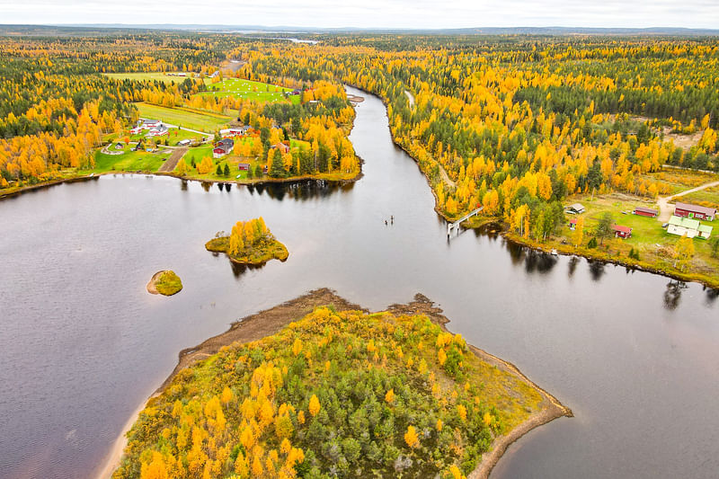 Wonderful colours of autumn in Rovaniemi