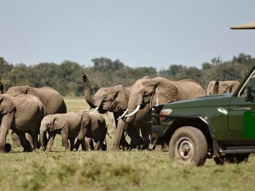 Private 3-Day Jeep Safari in Maasai Mara from Nairobi