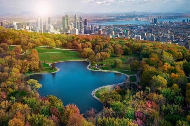 Small-Group Sightseeing Tour of Montreal 9