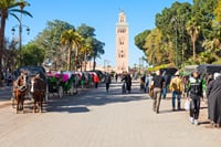 Marrakech Private Tour Check-out from Rabat with Licensed Guide 8