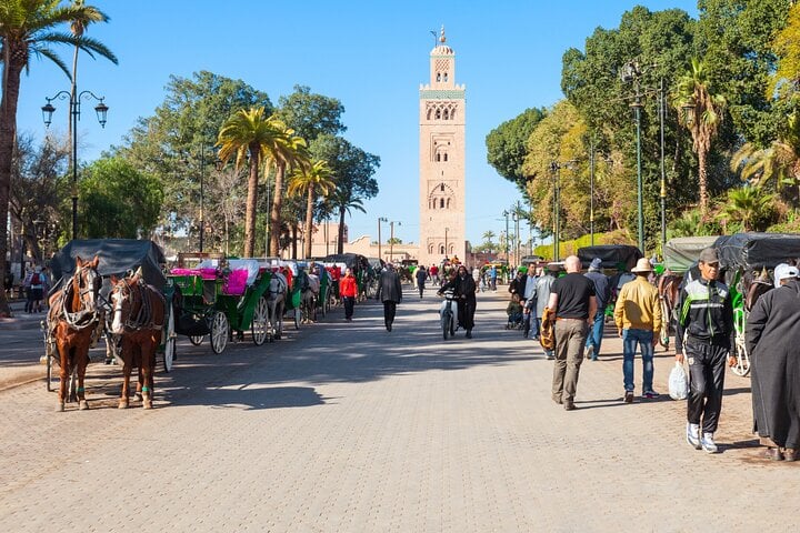 Marrakech Private Tour Check-out from Rabat with Licensed Guide 8