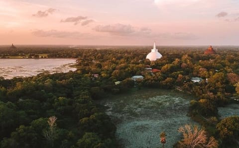 Anuradhapura 11-Day Sri Lanka Tour with Entry Fees Included