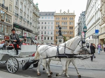 From Empire to Cathedral: Vienna Old Town Walking Tour