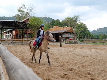 Horse Lesson+Riding+Doikham holy temple.Chiangmai