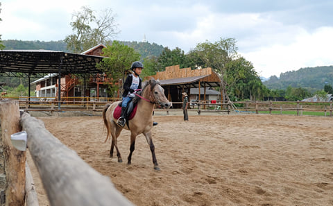 Horseback Riding Lesson and Visit to Doikham Temple, Chiang Mai