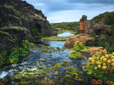 Private Þjórsárdalur Valley Tour, photo 6
