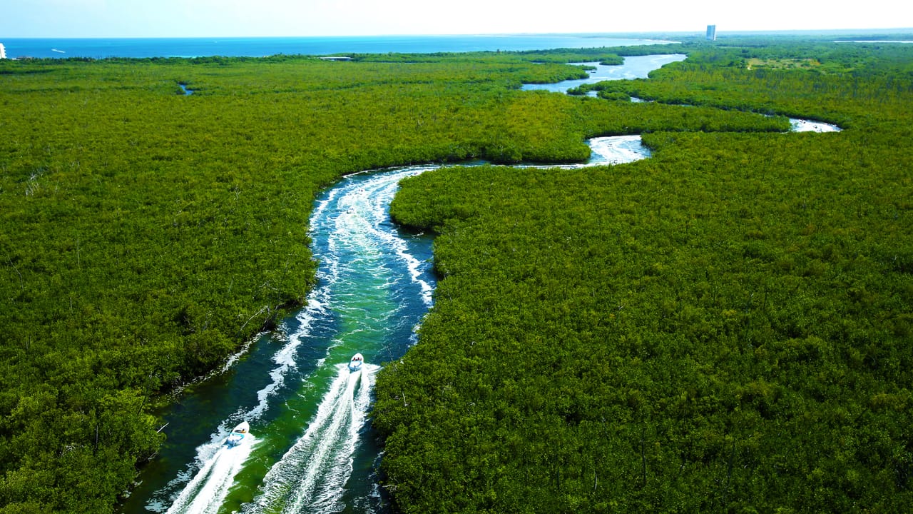 Speed Boat Cancun - Jungle Tour 9